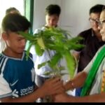 Ampi Agri Sub Div. Distributed Saplings.                 